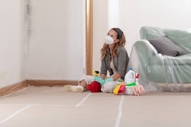 Reliable Mold Inspection contractor in Kearny, NJ by WQB Mold Removal